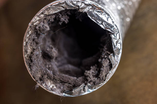 Best Duct Cleaning for Homes  in Olivette, MO