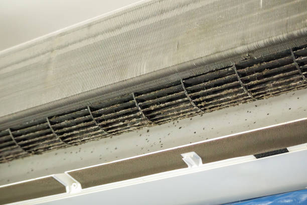 Best Air Duct Cleaning Near Me  in Olivette, MO